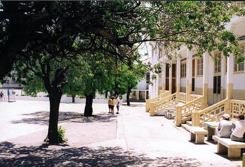 regnault4.jpg - Le Lycée Regnault''L'arbre des photos!''.