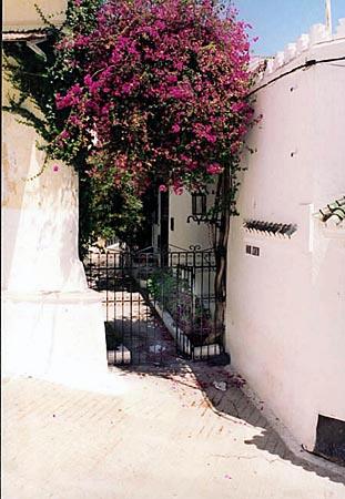 sidihosni1.jpg - CasbahSidi Hosni - Le palais de Barbara Hutton
