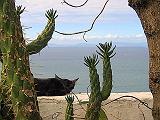 IMG_0179